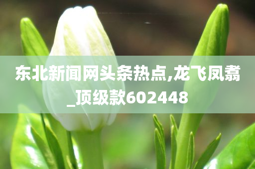 东北新闻网头条热点,龙飞凤翥_顶级款602448