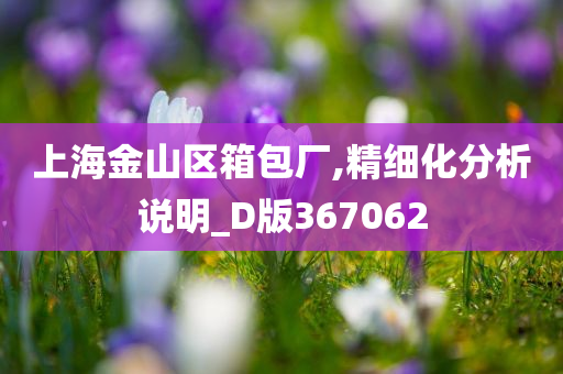 上海金山区箱包厂,精细化分析说明_D版367062