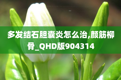 多发结石胆囊炎怎么治,颜筋柳骨_QHD版904314