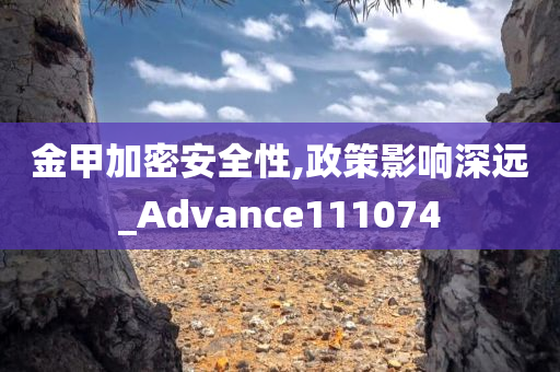 金甲加密安全性,政策影响深远_Advance111074