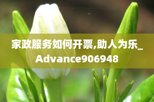 家政服务如何开票,助人为乐_Advance906948