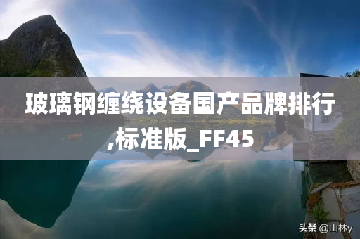 玻璃钢缠绕设备国产品牌排行,标准版_FF45