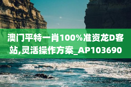 澳门平特一肖100%准资龙D客站,灵活操作方案_AP103690