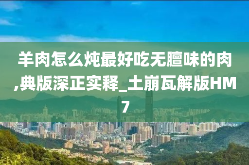 羊肉怎么炖最好吃无膻味的肉,典版深正实释_土崩瓦解版HM7