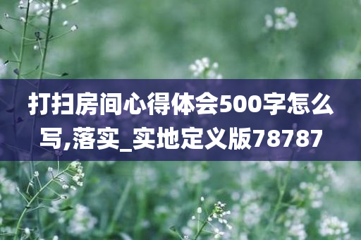 打扫房间心得体会500字怎么写,落实_实地定义版78787