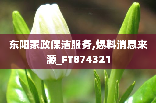 东阳家政保洁服务,爆料消息来源_FT874321