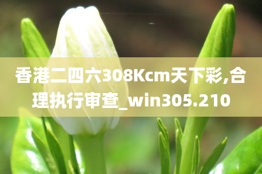 香港二四六308Kcm天下彩,合理执行审查_win305.210