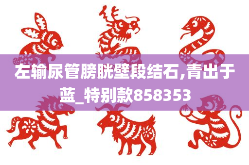 左输尿管膀胱壁段结石,青出于蓝_特别款858353