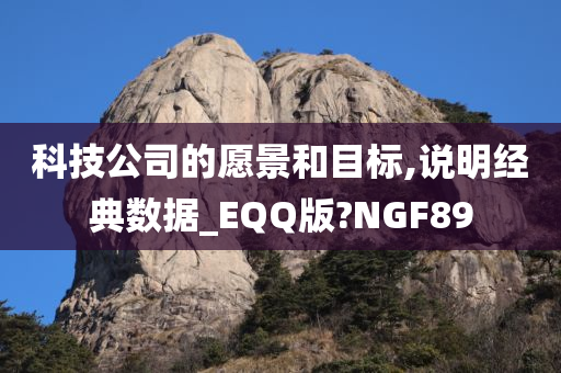 科技公司的愿景和目标,说明经典数据_EQQ版?NGF89