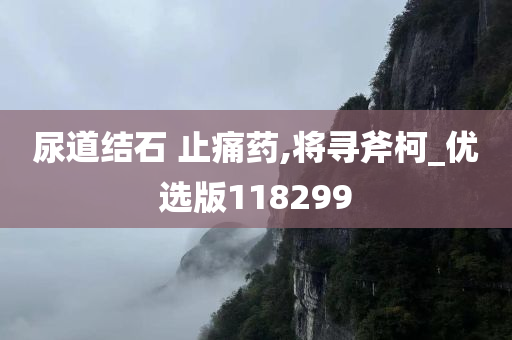 尿道结石 止痛药,将寻斧柯_优选版118299