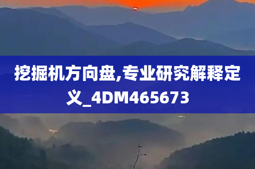 挖掘机方向盘,专业研究解释定义_4DM465673