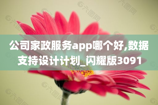 公司家政服务app哪个好,数据支持设计计划_闪耀版3091