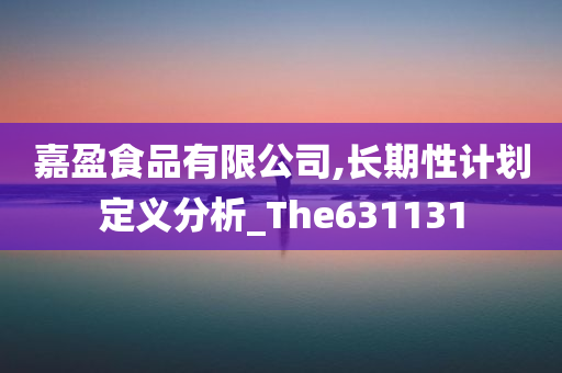 嘉盈食品有限公司,长期性计划定义分析_The631131