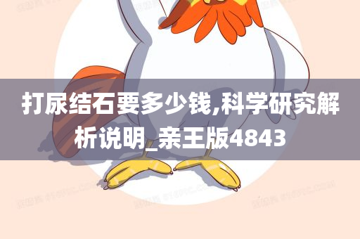 打尿结石要多少钱,科学研究解析说明_亲王版4843