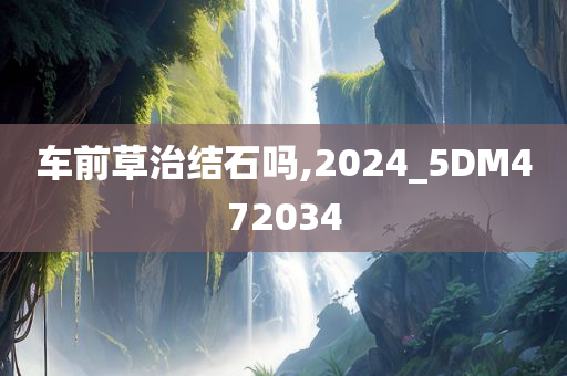 车前草治结石吗,2024_5DM472034