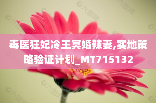 毒医狂妃冷王冥婚辣妻,实地策略验证计划_MT715132