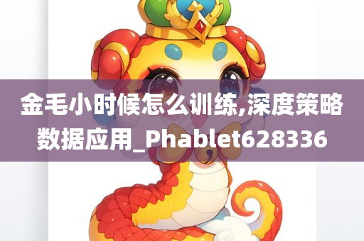 金毛小时候怎么训练,深度策略数据应用_Phablet628336