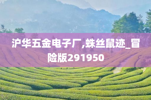 沪华五金电子厂,蛛丝鼠迹_冒险版291950