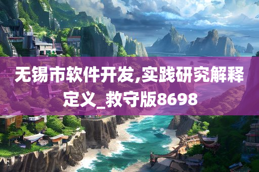 无锡市软件开发,实践研究解释定义_救守版8698