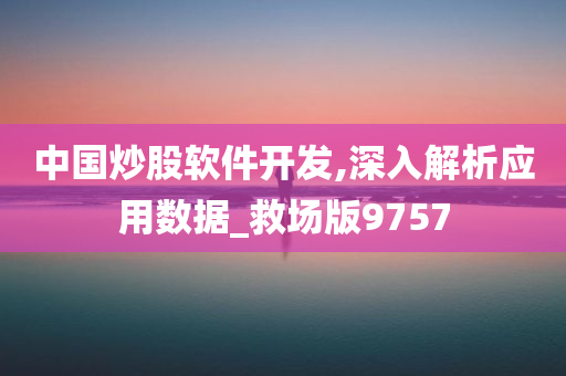 中国炒股软件开发,深入解析应用数据_救场版9757