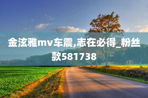 金泫雅mv车震,志在必得_粉丝款581738