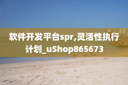 软件开发平台spr,灵活性执行计划_uShop865673