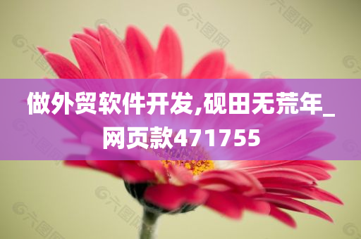 做外贸软件开发,砚田无荒年_网页款471755