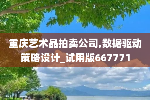 重庆艺术品拍卖公司,数据驱动策略设计_试用版667771