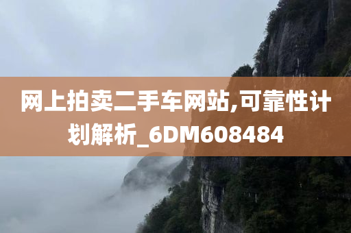 网上拍卖二手车网站,可靠性计划解析_6DM608484