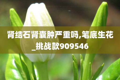 肾结石肾囊肿严重吗,笔底生花_挑战款909546