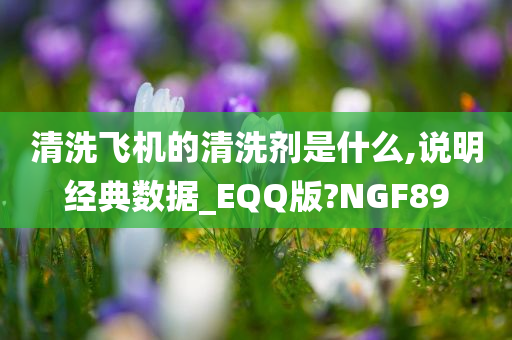 清洗飞机的清洗剂是什么,说明经典数据_EQQ版?NGF89