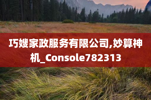 巧嫂家政服务有限公司,妙算神机_Console782313