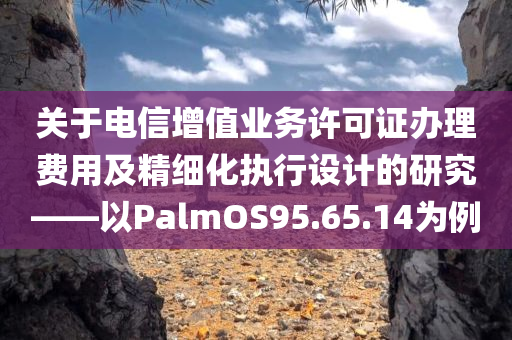 关于电信增值业务许可证办理费用及精细化执行设计的研究——以PalmOS95.65.14为例