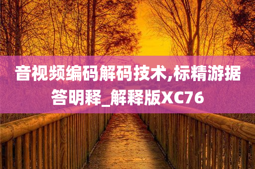 音视频编码解码技术,标精游据答明释_解释版XC76