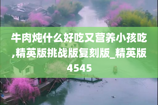 牛肉炖什么好吃又营养小孩吃,精英版挑战版复刻版_精英版4545