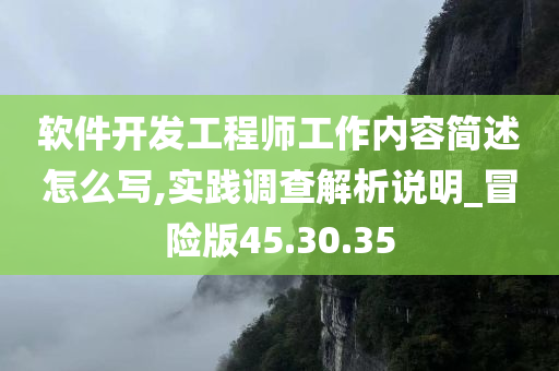 软件开发工程师工作内容简述怎么写,实践调查解析说明_冒险版45.30.35