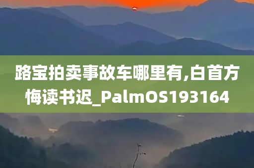 路宝拍卖事故车哪里有,白首方悔读书迟_PalmOS193164