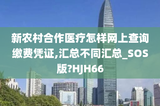 新农村合作医疗怎样网上查询缴费凭证,汇总不同汇总_SOS版?HJH66