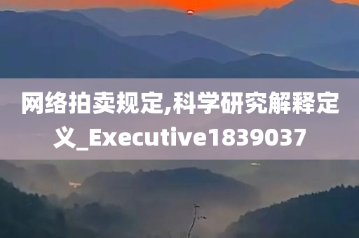 网络拍卖规定,科学研究解释定义_Executive1839037