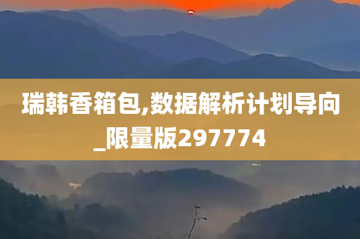 瑞韩香箱包,数据解析计划导向_限量版297774