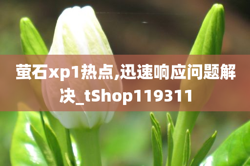 萤石xp1热点,迅速响应问题解决_tShop119311