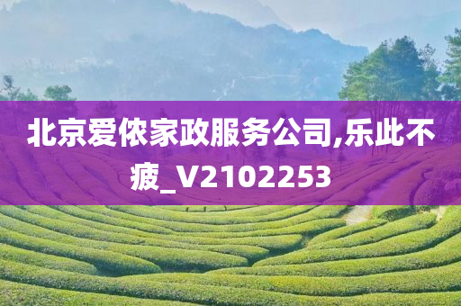 北京爱侬家政服务公司,乐此不疲_V2102253