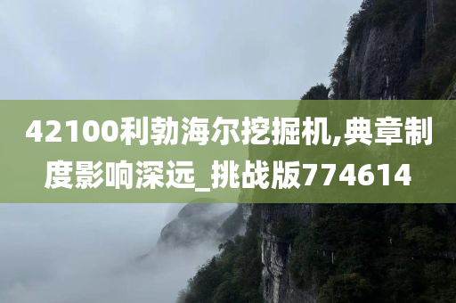 42100利勃海尔挖掘机,典章制度影响深远_挑战版774614