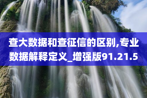 查大数据和查征信的区别,专业数据解释定义_增强版91.21.50