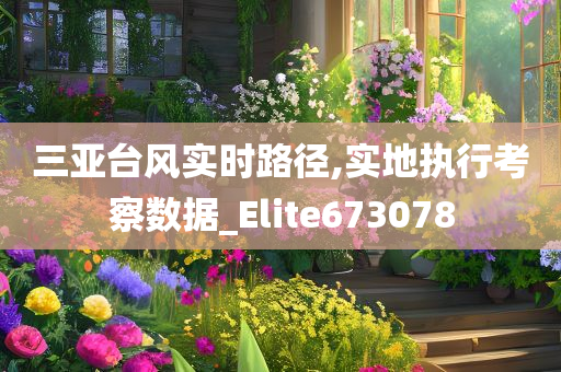 三亚台风实时路径,实地执行考察数据_Elite673078