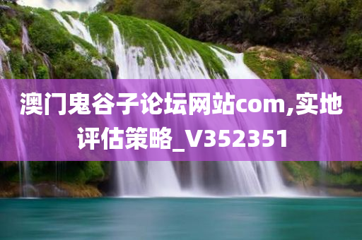 澳门鬼谷子论坛网站com,实地评估策略_V352351