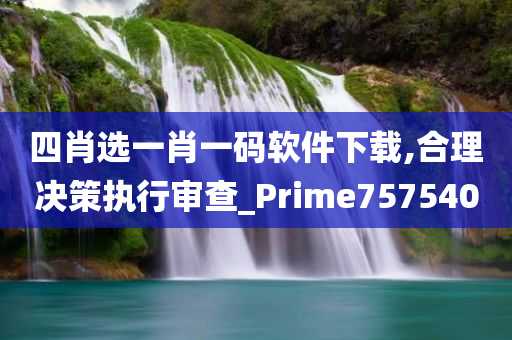 四肖选一肖一码软件下载,合理决策执行审查_Prime757540