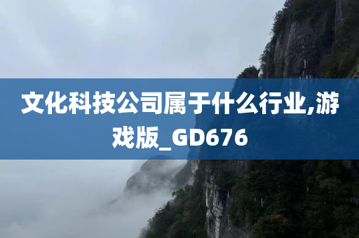 文化科技公司属于什么行业,游戏版_GD676