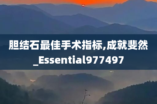 胆结石最佳手术指标,成就斐然_Essential977497