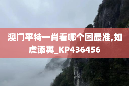 澳门平特一肖看哪个图最准,如虎添翼_KP436456